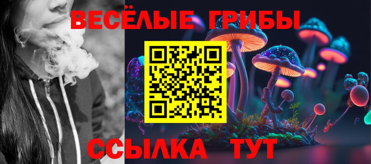 Псилоцибиновые грибы Psilocybe  Вход с VPN  Псилоцибиновые грибы Cubensis  Черкесск 